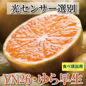 ƒp ɑLc݂10kg+250giݕ⏞jyYN26E瑁zy킯E󂠂z kCEEւ̔zs 2025N10{`11{ɏ\