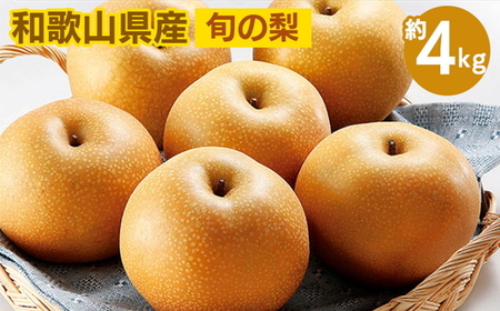 ◆先行予約◆和歌山県産 旬の梨 約4kg |梨 梨 梨 梨 梨 梨 梨※2025年8月中旬〜9月中旬頃に順次発送予定 ※離島への配送不可