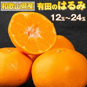 [産地直送]和歌山県産 有田のはるみ 12玉〜24玉 ※2026年1月中旬〜2月下旬頃に順次発送予定