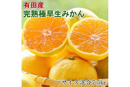 [手選別]紀州有田の完熟極早生みかん約7.5kg(サイズ混合) ※2024年10月下旬〜11月上旬頃に順次発送予定