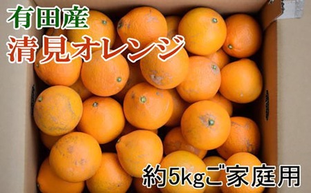 [濃厚]有田産清見オレンジ約5kg(サイズおまかせまたは混合)ご家庭用 ※2026年2月中旬〜3月下旬頃に順次発送予定
