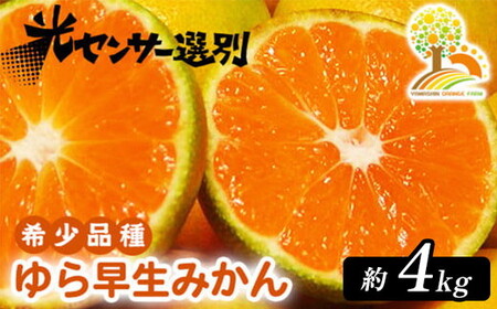 瑁 ݂ ZȖ킢 4kg 󏭕isL@엿100tɑ b R   킹 k ʕ  t[c a̎R Lc 2025N10{`11{ɏ\ k