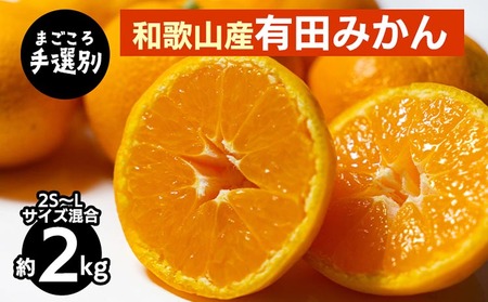 [まごころ手選別]和歌山産 有田みかん 2kg 1箱 (2S〜Lサイズ混合) ※2025年11月上旬〜2026年1月下旬頃に順次発送予定
