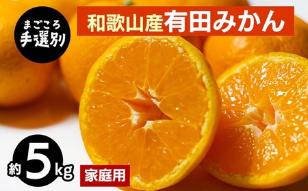 [まごころ手選別]和歌山産 有田みかん 5kg 家庭用 ※2025年11月上旬〜2026年1月下旬頃に順次発送予定