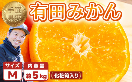 [まごころ手選別]和歌山の有田みかん 化粧箱入り 約5kg Mサイズ ※2025年11月上旬〜2026年1月下旬頃に順次発送予定