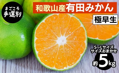 [まごころ手選別]和歌山産 有田みかん(極早生) 5kg (S〜Lサイズ)[サイズおまかせ] ※2025年10月上旬〜11月中旬頃に順次発送予定