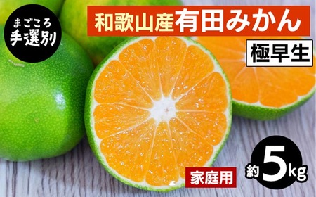 [まごころ手選別]和歌山産 有田みかん(極早生) 5kg 家庭用 ※2025年10月上旬〜11月中旬頃に順次発送予定