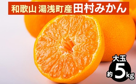 和歌山 湯浅町産 田村みかん 5kg[大玉] ※2025年11月中旬〜2026年1月中旬頃に順次発送予定