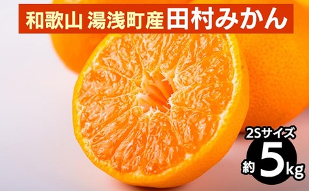和歌山 湯浅町産 田村みかん 5kg[2Sサイズ] ※2025年11月中旬〜2026年1月中旬頃に順次発送予定