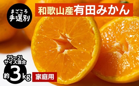 [まごころ手選別]和歌山産 有田みかん 3kg 家庭用(2S〜2Lサイズ混合) ※2025年11月上旬〜2026年1月下旬頃に順次発送予定