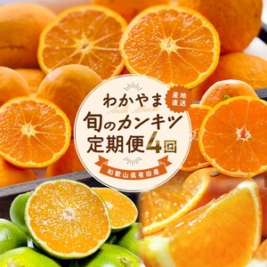 [定期便][3・5・9・11月 全4回]わかやま旬のカンキツ定期便[L]全4回(青切りみかん・完熟みかん・春の柑橘・初夏の柑橘)