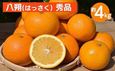 和歌山県産 八朔 4kg 秀品 ※2026年1月上旬〜3月下旬頃に順次発送予定