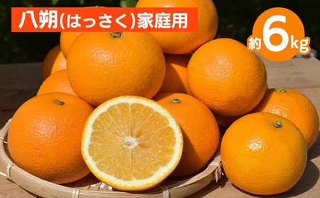 和歌山県産 八朔 6kg 家庭用 ※2026年1月上旬〜3月下旬頃に順次発送予定