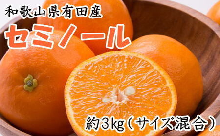 [濃厚オレンジ]和歌山有田産セミノール約3kg(サイズ混合 秀品) ※2026年4月中旬〜5月上旬頃に順次発送予定