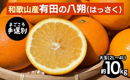 y܂IʁzLĉ͂yz10kg(2L`4L) 2026N1{`3{ɏ\