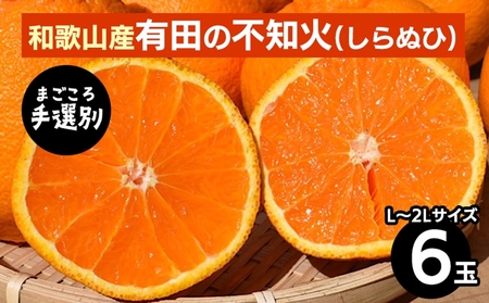 [まごころ手選別]和歌山産 有田の不知火(しらぬひ)(6玉×1箱、L〜2Lサイズ) ※2026年2月上旬〜4月下旬頃に順次発送予定