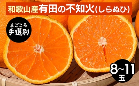 [まごころ手選別]和歌山産 有田の不知火(しらぬひ)8〜11玉 ※2026年2月上旬〜4月下旬頃に順次発送予定