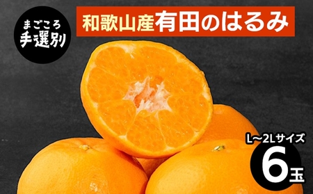 [まごころ手選別]和歌山産 有田のはるみ(L〜2Lサイズ) 6玉 1箱 ※2026年1月中旬〜2月下旬頃に順次発送予定