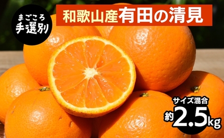 [まごころ手選別]和歌山産 有田の清見 約2.5kg(サイズ混合) ※2026年3月上旬〜4月下旬頃に順次発送予定