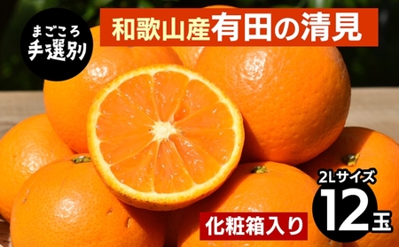 [まごころ手選別]和歌山産 有田の清見 化粧箱 2Lサイズ 12個入り ※2026年3月上旬〜4月下旬頃に順次発送予定