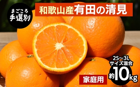 【まごころ手選別】和歌山産　有田の清見　約10kg(2S～3Lサイズ混合)【家庭用】 ※2026年3月上旬～4月下旬頃に順次発送予定