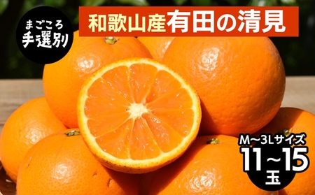 [まごころ手選別]和歌山産 有田の清見 11玉〜15玉(M〜3Lサイズ) ※2026年3月上旬〜4月下旬頃に順次発送予定