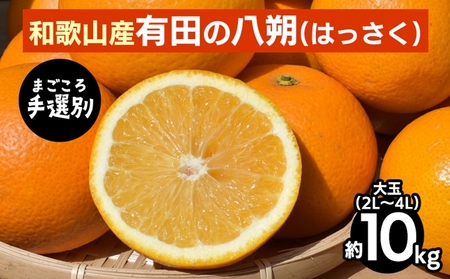 y܂IʁzLĉ͂E10kg(2L`4L) 2026N1{`3{ɏ\