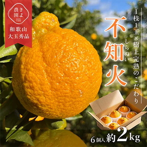 先行受付 不知火 希少な樹上完熟! 秀品大玉 6個入 ※2026年2月下旬〜3月下旬頃に順次発送予定