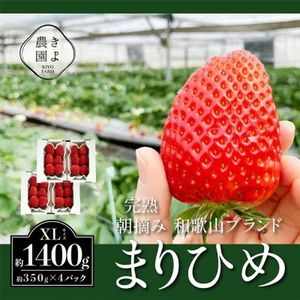 st@嗱܂Ђ߃C`S@E@6`11×4pbN 2026N1{`3{ɏ\ ւ̔zs