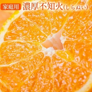 [先行予約] 有田育ちの濃厚 不知火 (デコポン と同品種)(訳あり 家庭用) 約10kg◇ ※2026年1月下旬〜3月下旬頃に順次発送予定 ※沖縄・離島への配送不可