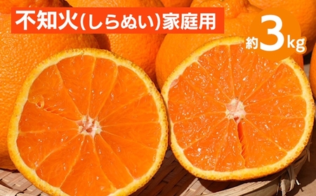 和歌山産 不知火 約3kg[家庭用] ※2026年2月上旬〜4月下旬頃より順次発送予定