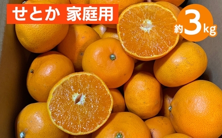 せとか 約3kg 家庭用 ※2026年2月下旬〜4月中旬頃より順次発送予定