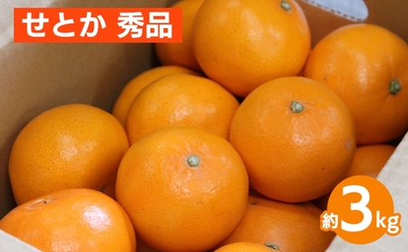 せとか 約3kg 秀品 ※2026年2月下旬〜4月中旬頃より順次発送予定