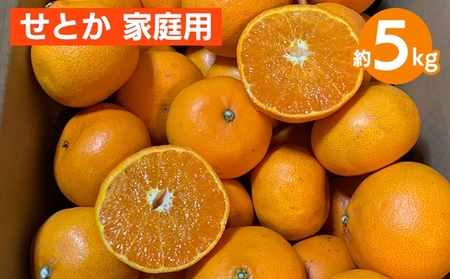 Ƃ@5kg@ƒp 2026N2{`4{菇\