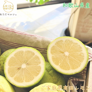 [先行予約] 紀州 和歌山 ご家庭用 有田 レモン [防腐剤・ワックス不使用][農家直送][訳あり] 1.5kg ※北海道・沖縄・離島への配送不可 ※2025年9月下旬〜2026年3月下旬頃に順次発送予定