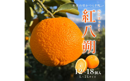 先行予約!紅はっさく 約5kg/12〜18個入り(L〜2Lサイズ)こだわり農家厳選! ※2026年1月下旬〜2月下旬頃より順次発送予定
