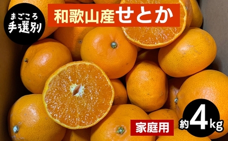 [まごころ手選別]和歌山産 せとか 約4kg 家庭用 ※2026年2月下旬〜4月中旬頃より順次発送予定