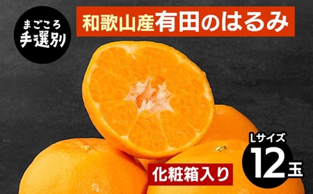 [まごころ手選別]和歌山産有田のはるみ 化粧箱入り Lサイズ 12個入り ※2026年1月下旬〜2月下旬頃より順次発送予定