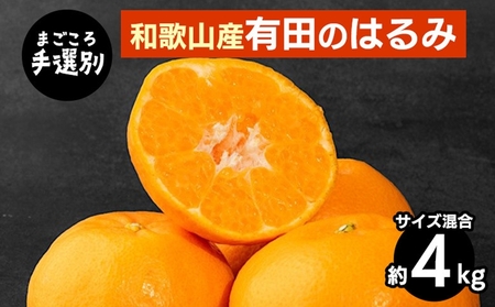 [まごころ手選別]和歌山産有田のはるみ 約4kg(サイズ混合) ※2026年1月下旬〜2月下旬頃より順次発送予定
