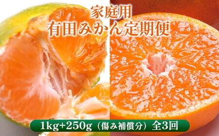 [定期便][10・11・12月 全3回]家庭用 有田みかん定期便 1kg+250g(傷み補償分)※北海道・沖縄・離島への配送不可