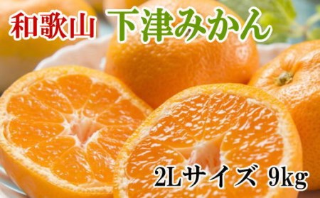 【産直・秀品】和歌山下津みかん 9kg（2Lサイズ） ※2024年11月中旬～2025年1月中旬頃に順次発送予定