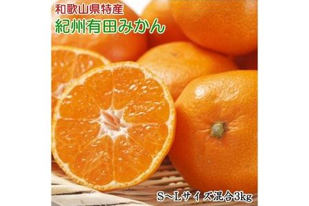 [秀品]和歌山有田みかん約3kg(S〜Lサイズ混合) ※2024年11月中旬〜2025年1月中旬頃に順次発送予定