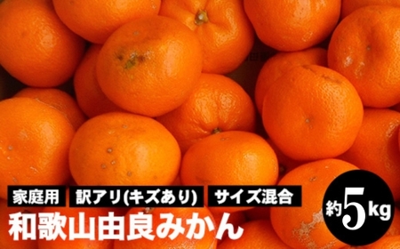 a̎RRǂ݂ 5kg 󂠂 LY ƒp TCYb݂ ~J a̎R R ܂ t[c ʕ k a̎RY  ӂ邳Ɣ[ ԗi 2025N11{`2026N1