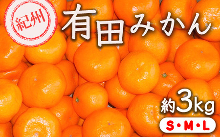 紀州有田みかん 約3kg サイズ (L・М・S) |みかん ミカン 和歌山 由良 フルーツ 果物 柑橘 和歌山県産 お取り寄せ 人気 ※2025年11月下旬〜2026年1月中旬頃に順次発送予定