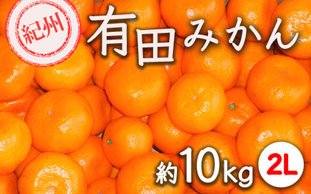 紀州有田みかん 約10kg サイズ (2L) |みかん ミカン 和歌山 由良 フルーツ 果物 柑橘 和歌山県産 お取り寄せ 人気 ※2025年11月下旬〜2026年1月中旬頃に順次発送予定