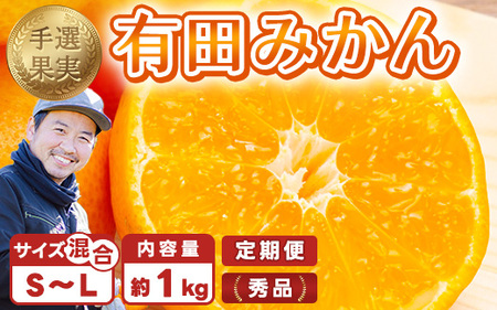 [まごころ手選別][3ヶ月定期便]有田みかん 秀品 約1kg(S〜Lサイズ混合)※2025年11月上旬頃から1カ月に1回(計3回)発送