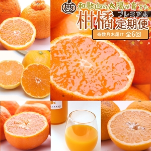 [定期便]厳選 柑橘定期便 S 6回(奇数月)※北海道・沖縄・離島への配送不可※奇数月に発送