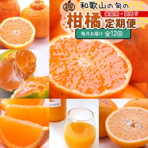 �y����ցz�ƒ�p ���k����� M 12��i�����j���k�C���E����E�����ւ̔z���s����������