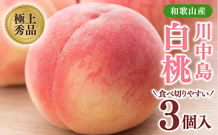 桃先行受付! [川中島白桃]大玉特秀品 食べきりやすい3個入り こだわり農家厳選!