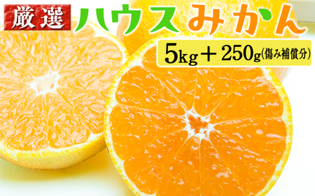 I nEX݂5kg+250giݕ⏞j